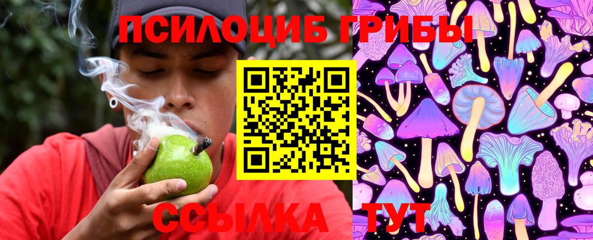 Псилоцибиновые грибы Magic Shrooms  Вход с VPN  Псилоцибиновые грибы Psilocybine cubensis  Пугачёв 